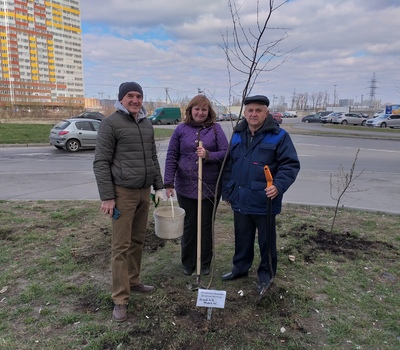 Субботник 2019 года